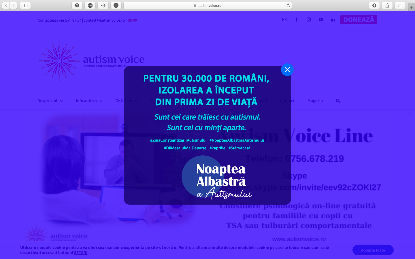 Autism Voice Image